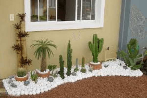 A Arte de Criar Mini-Jardins que Elevam o Espaço