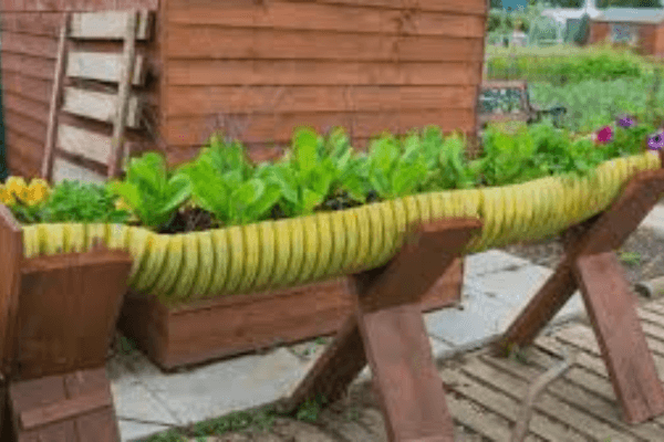 Como Criar um Jardim Sustentável com Ativos de Descarte