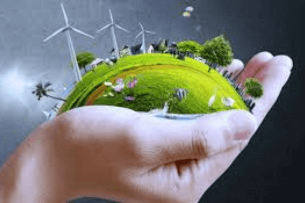 O Guia Definitivo para Microgreens Cultivo Gourmet em Casa, em Tempo Recorde