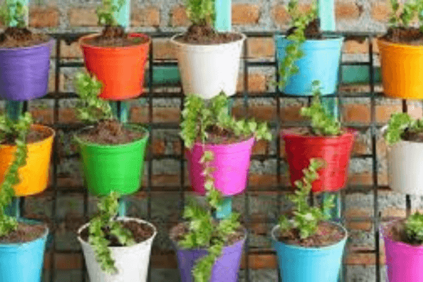 Criando Jardins Comestíveis que Unem Orgânico e Estético