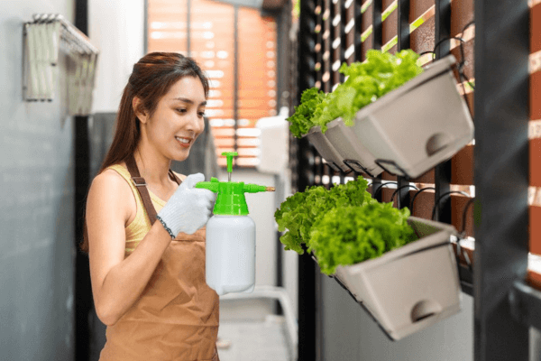 Estratégias para Colheitas Contínuas o Ano Todo em sua Horta