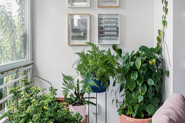 Plantas Estratégicas para Varandas Charmosas e Compactas