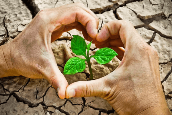 Sustentabilidade simples para quem nunca tentou antes