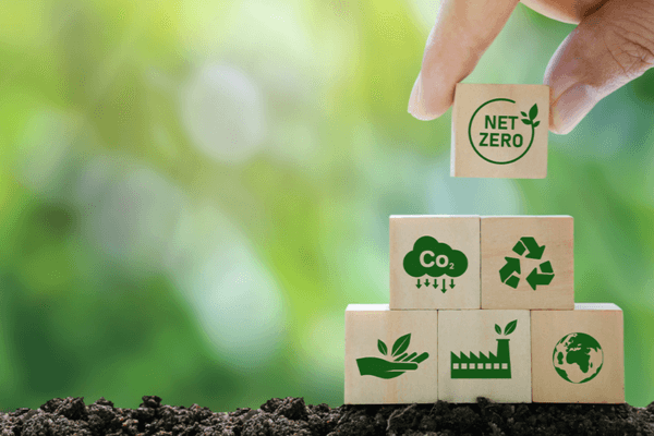 Sustentabilidade como Estilo de Vida e Economia