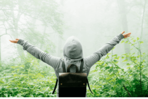 Arte de Viver em Sintonia com a Natureza