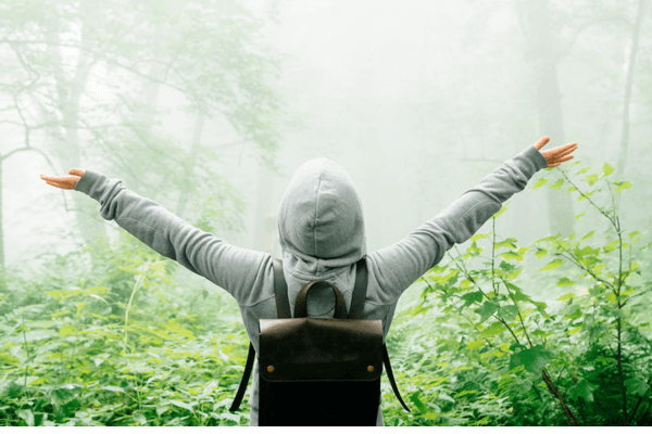 Arte de Viver em Sintonia com a Natureza