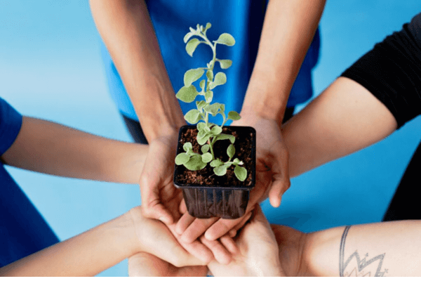 Conciliando a Agenda Lotada com a Consciência Ecológica