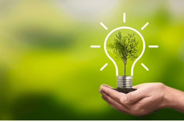 Como viver de forma mais sustentável sem complicação