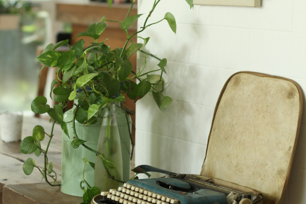 5 ideias simples com plantas que deixam sua casa mais bonita